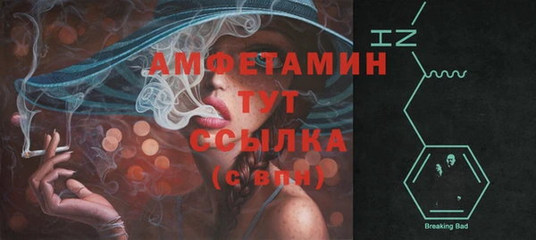 ECSTASY Пересвет