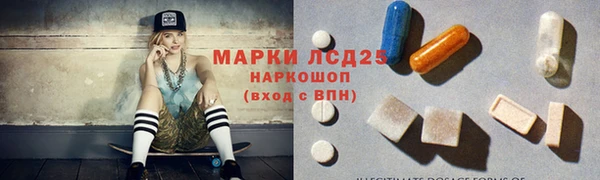 ECSTASY Пересвет
