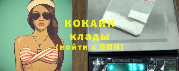 ECSTASY Пересвет
