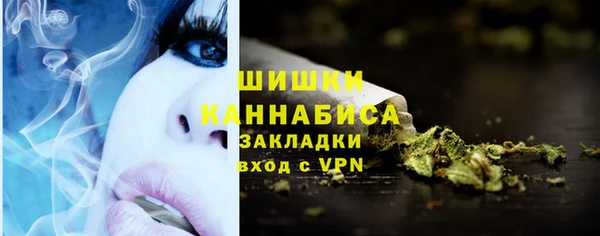 ECSTASY Пересвет
