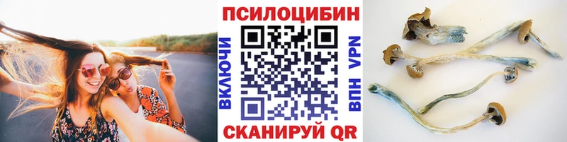 Псилоцибиновые грибы прущие грибы  Зеленоградск 